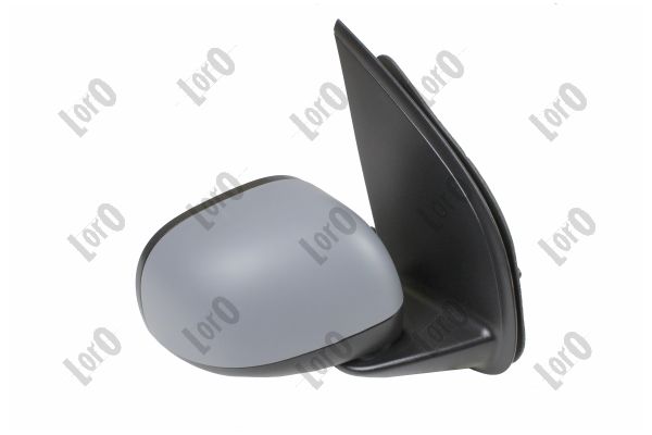 Exterior Mirror (1163M18)