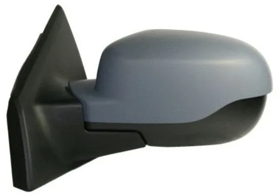 Exterior Mirror (3115M03)