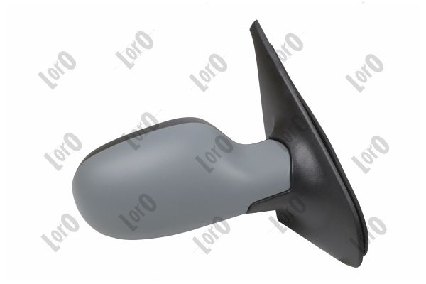 Exterior Mirror (3112M08)