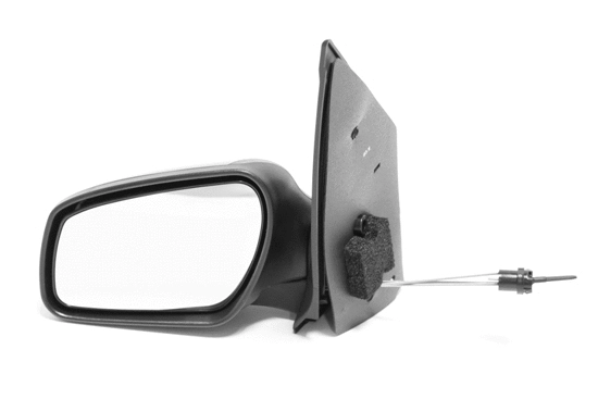 Exterior Mirror (1213M17)