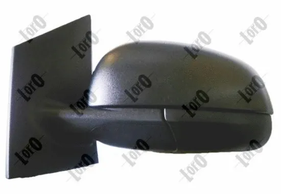 Exterior Mirror (3602M13)