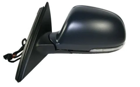 Exterior Mirror (3510M01)