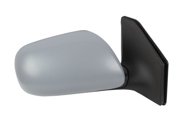 Exterior Mirror (3903M02)
