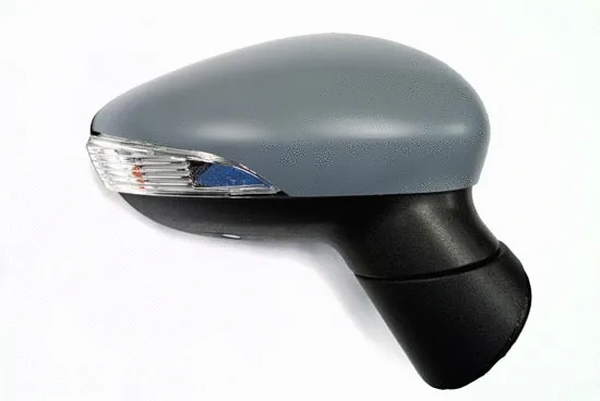 Exterior Mirror (1251M08)