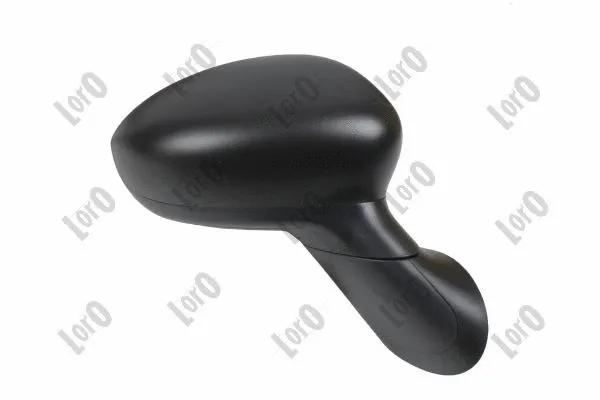 Exterior Mirror (1101M06)