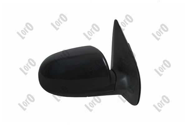 Exterior Mirror (1519M06)