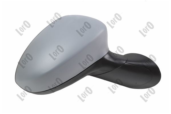 Exterior Mirror (1101M12)
