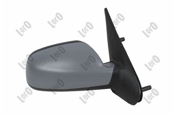 Exterior Mirror (0523M05)