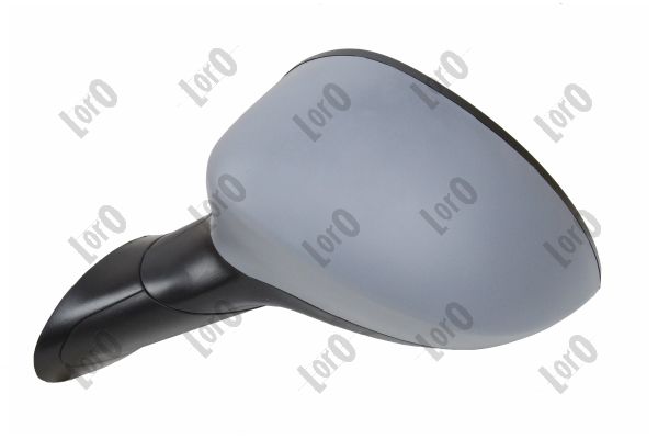 Exterior Mirror (1113M07)