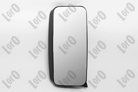 Exterior Mirror (T02-03-009)