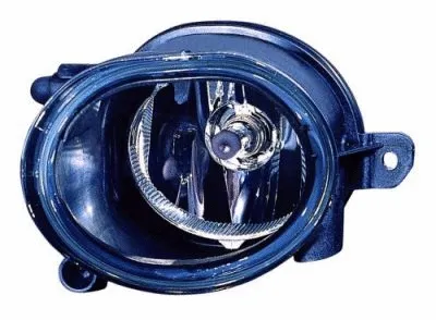 Front Fog Light (773-2011R-AQ)
