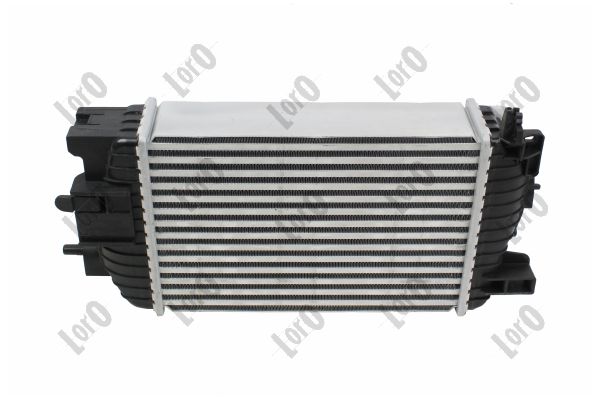Charge Air Cooler