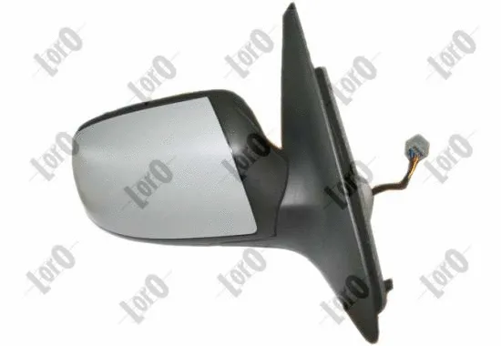 Exterior Mirror (1231M06)