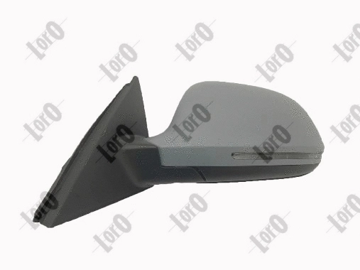 Exterior Mirror (0217M09)
