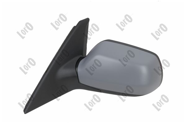 Exterior Mirror (2308M07)
