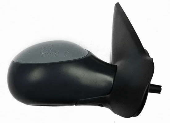 Exterior Mirror (2907M11)