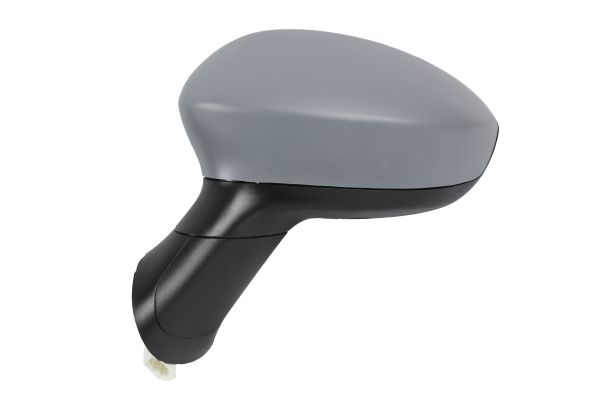 Exterior Mirror (1113M05)