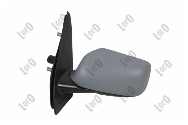 Exterior Mirror (0103M06)