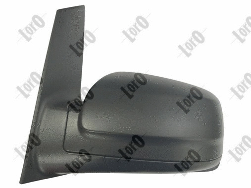 Exterior Mirror (2441M01)