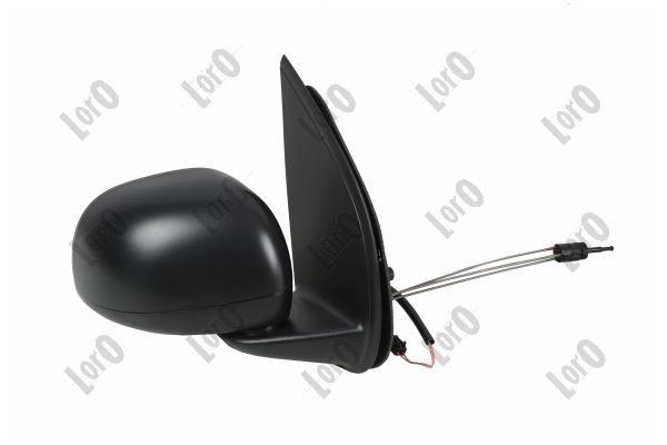 Exterior Mirror (1163M03)