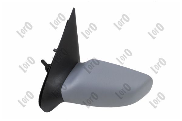 Exterior Mirror (1211M04)