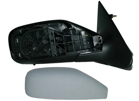 Exterior Mirror (3120M09)