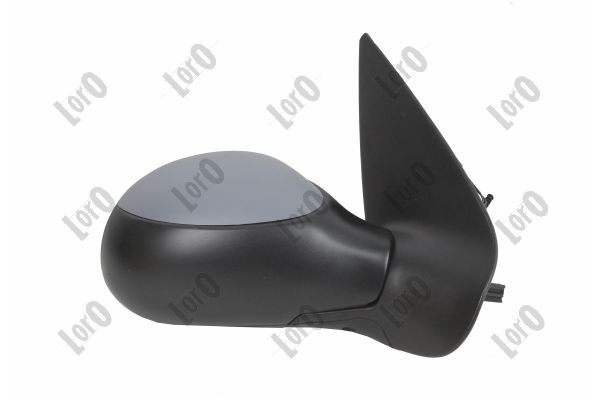 Exterior Mirror (2907M08)