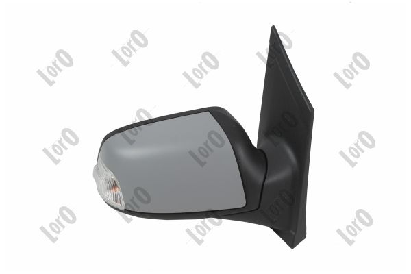 Exterior Mirror (1219M18)