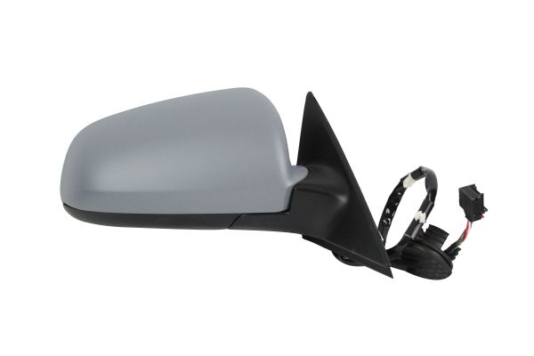 Exterior Mirror (0209M02)