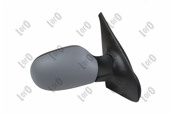 Exterior Mirror (3111M07)