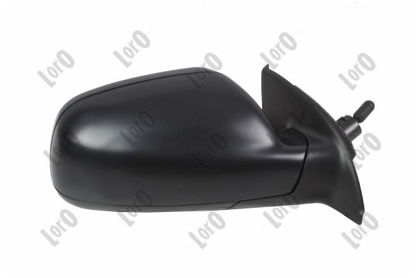 Exterior Mirror (2917M02)