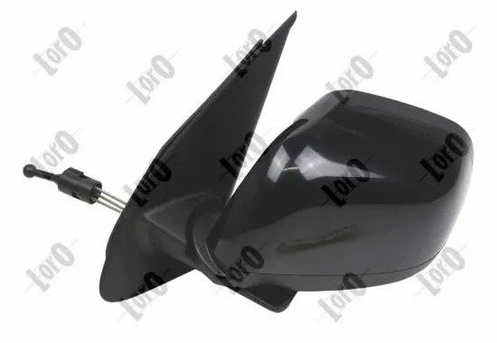 Exterior Mirror (2735M07)