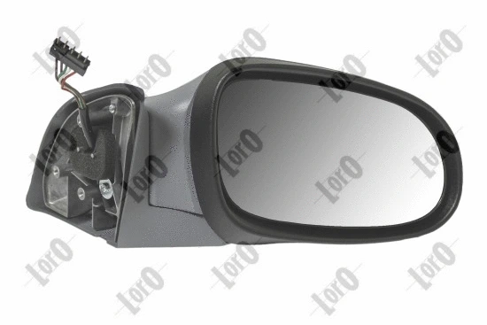 Exterior Mirror (2403M04)
