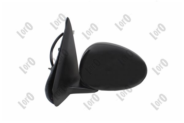 Exterior Mirror (3201M03)