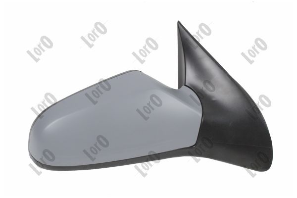 Exterior Mirror (2808M06)
