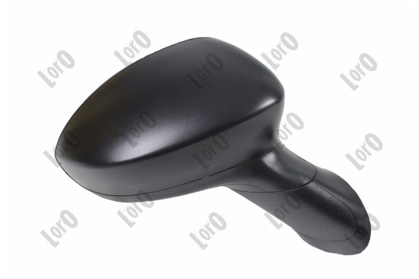 Exterior Mirror (1113M02)