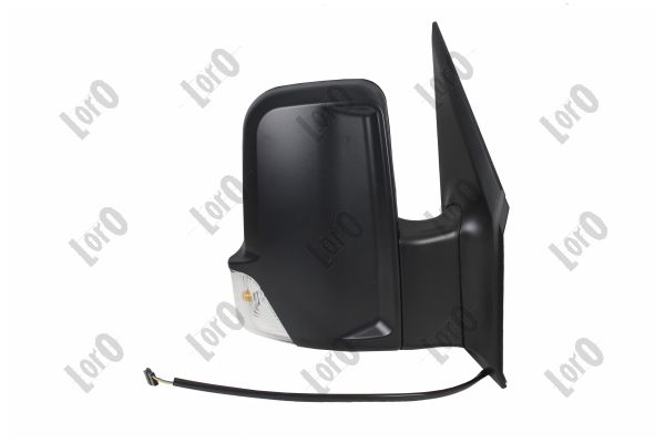 Exterior Mirror (2436M06)