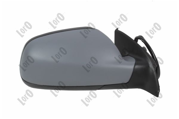 Exterior Mirror (2917M06)