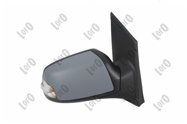 Exterior Mirror (1219M12)