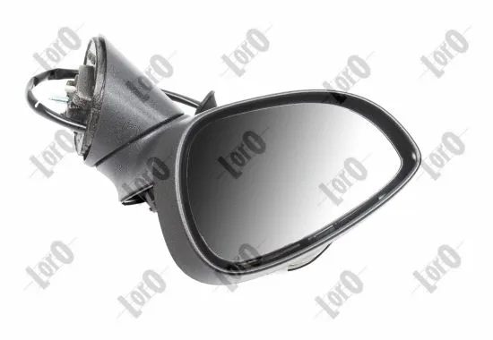 Exterior Mirror (1248M01)
