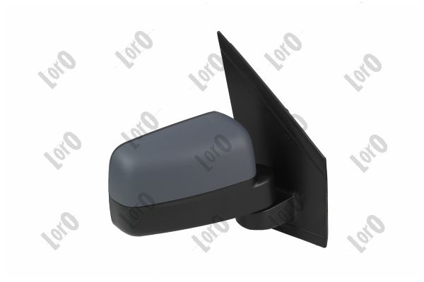 Exterior Mirror (1245M12)