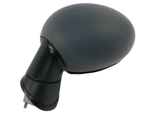 Exterior Mirror (2502M01)