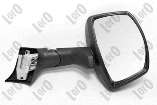 Exterior Mirror (T02-02-003)