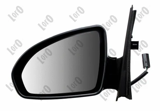 Exterior Mirror (3606M09)
