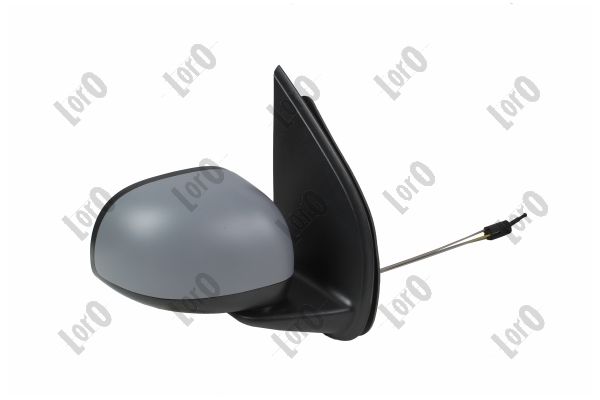 Exterior Mirror (1163M06)