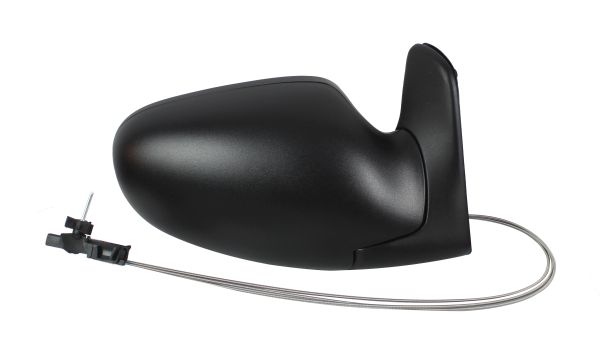 Exterior Mirror (1223M02)