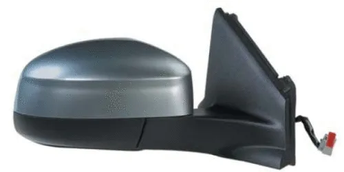 Exterior Mirror (1232M04)