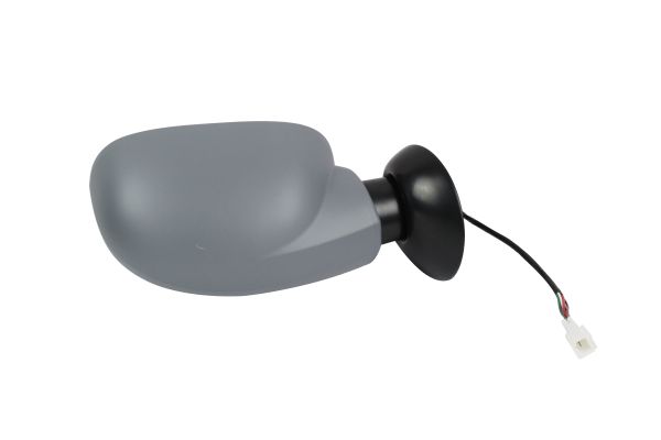 Exterior Mirror (0802M06)