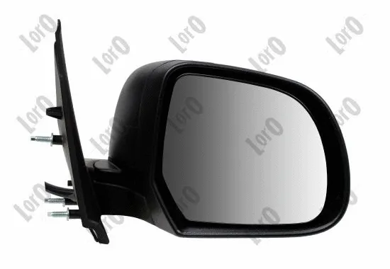 Exterior Mirror (2736M08)