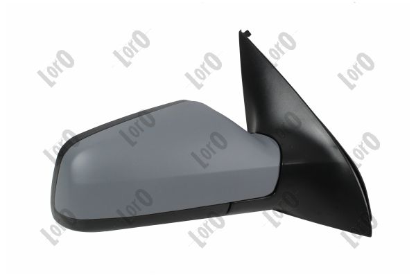 Exterior Mirror (2806M06)